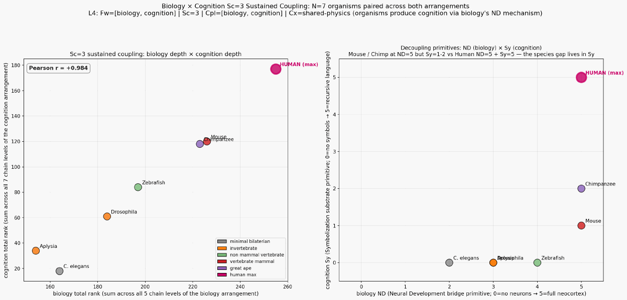 Biology cognition coupling