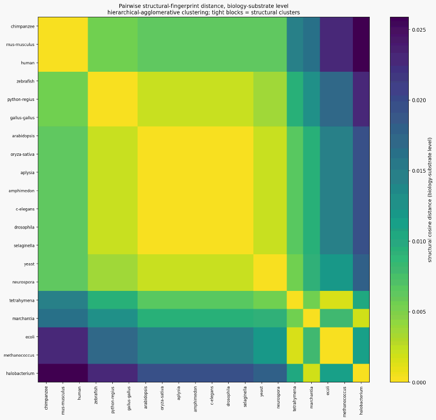 Biology mn structural distance heatmap