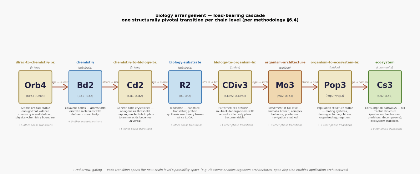 Biology phase cascade