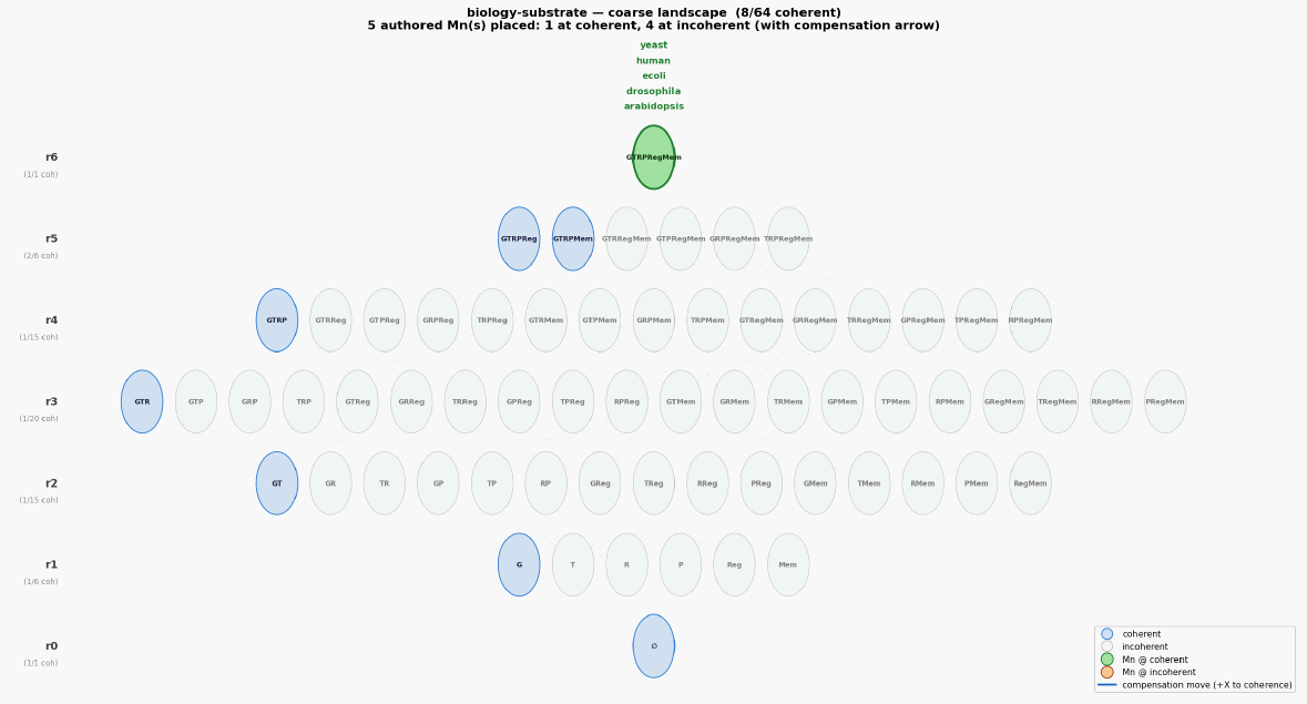 Biology substrate landscape