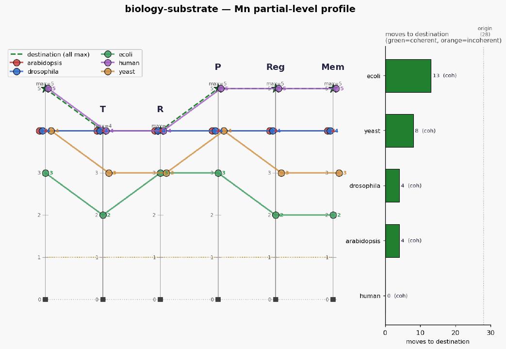 Biology substrate mn profile