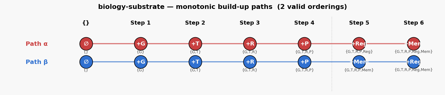 Biology substrate paths
