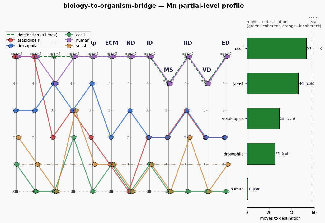 Biology to organism bridge mn profile