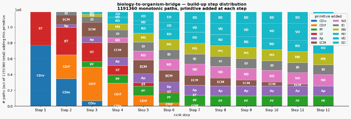 Biology to organism bridge paths