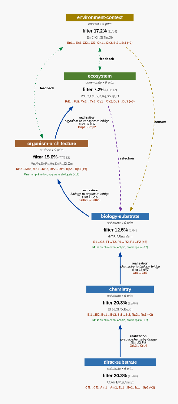 Biology topology