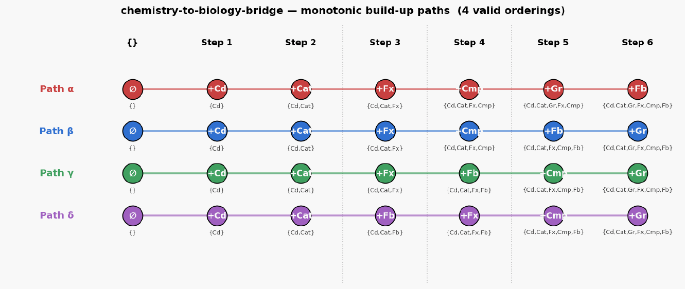 Chemistry to biology bridge paths