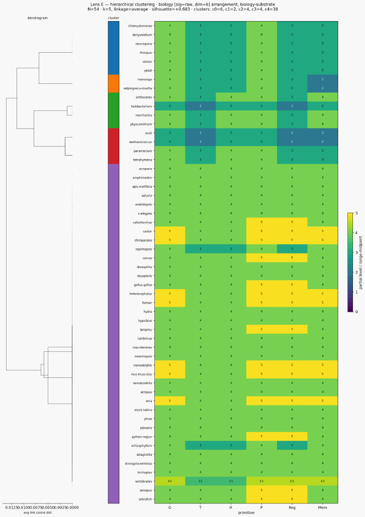 Cluster classical biology biology substrate hierarchical