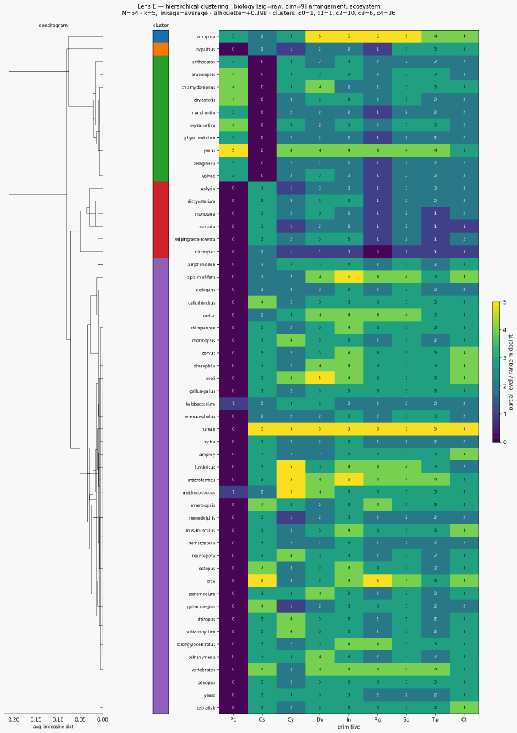 Cluster classical biology ecosystem hierarchical