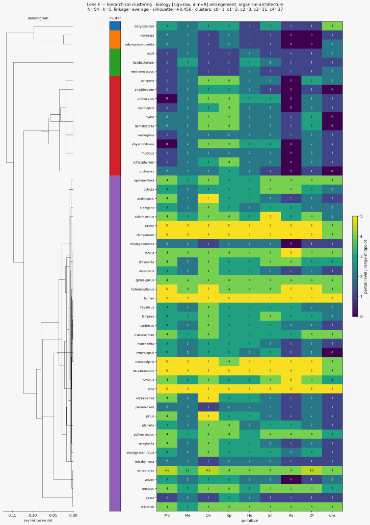 Cluster classical biology organism architecture hierarchical