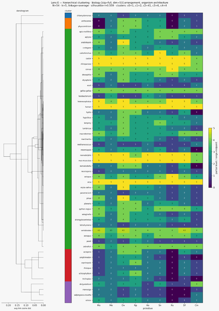 Cluster classical biology organism architecture hierarchical sigfull