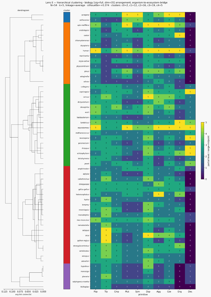 Cluster classical biology organism to ecosystem bridge hierarchical sigfull