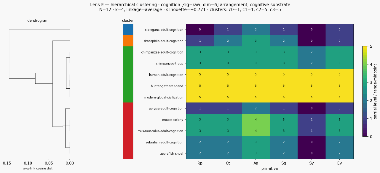 Cluster classical cognition cognitive substrate hierarchical