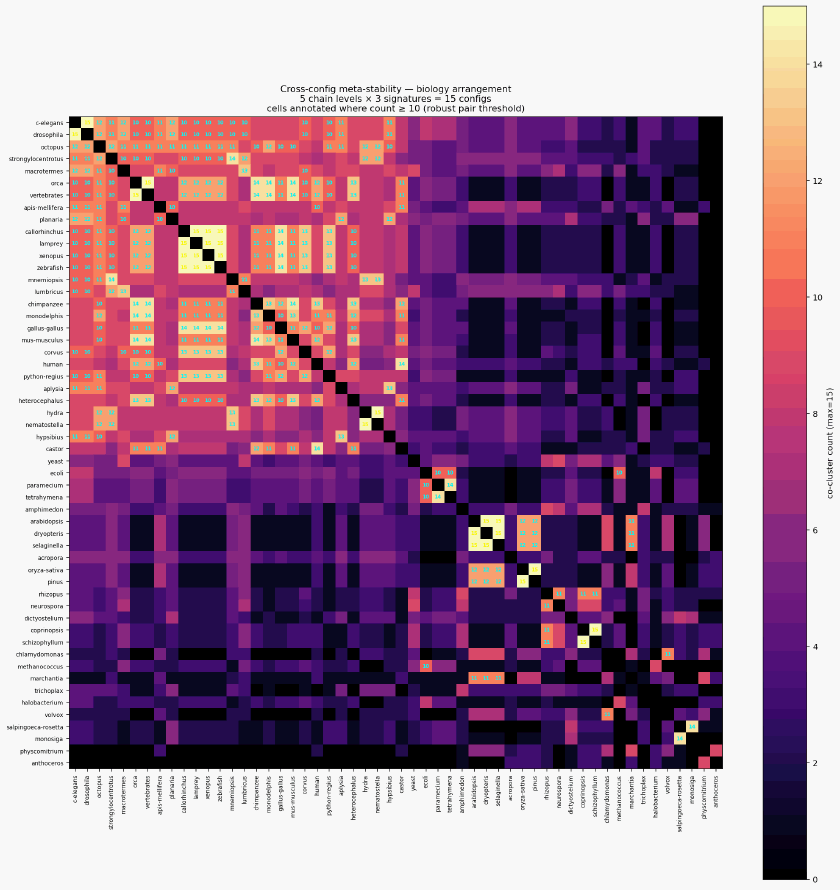 Cluster meta stability biology