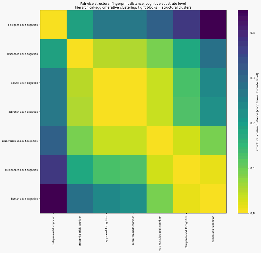 Cognition organism cognition mn structural distance heatmap