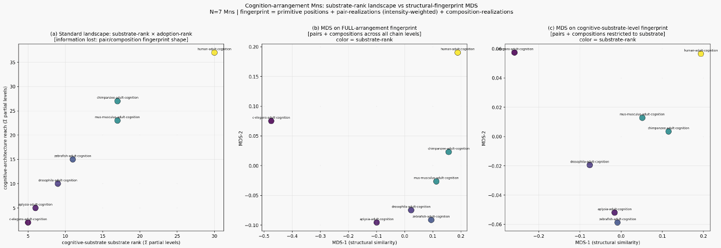 Cognition organism cognition mn structural fingerprint landscape