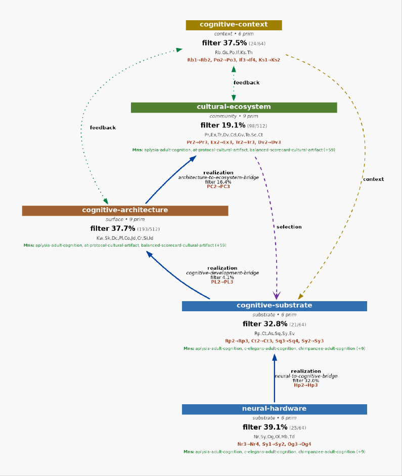 Cognition topology