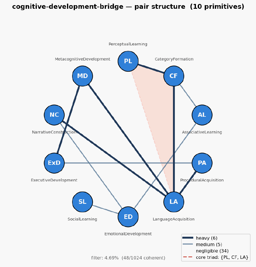 Cognitive development bridge hexagon