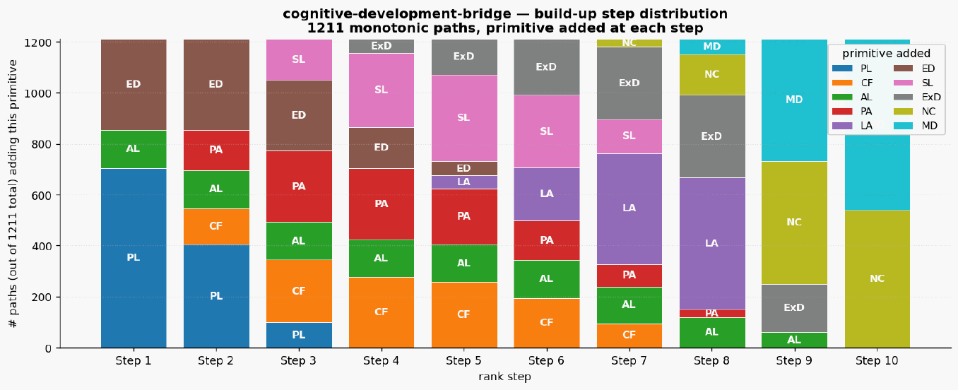 Cognitive development bridge paths