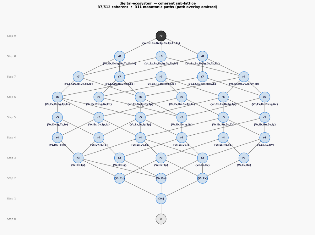 Digital ecosystem hasse