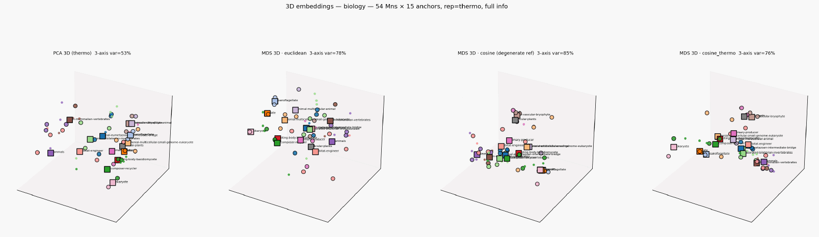 Embed3d biology thermo