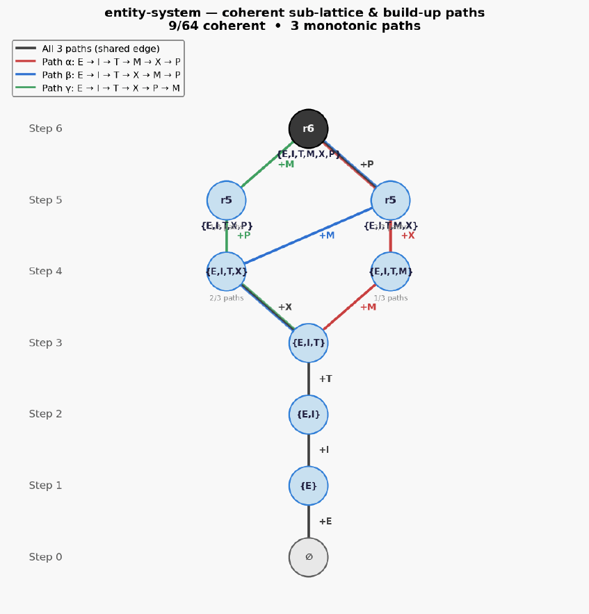 Entity system hasse