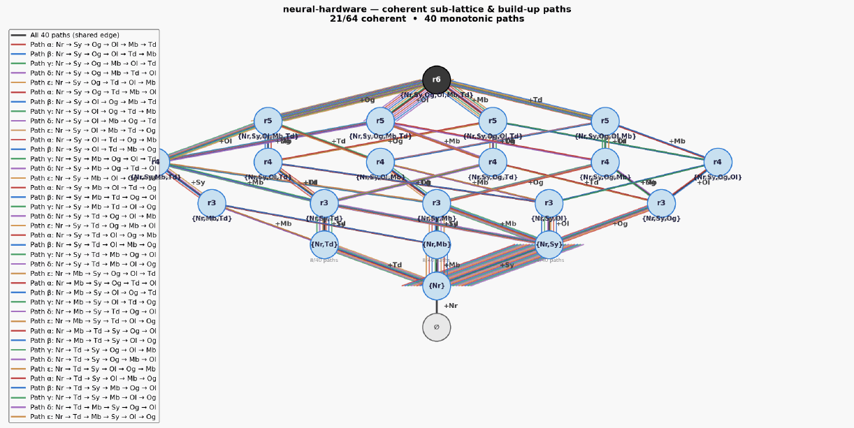 Neural hardware hasse