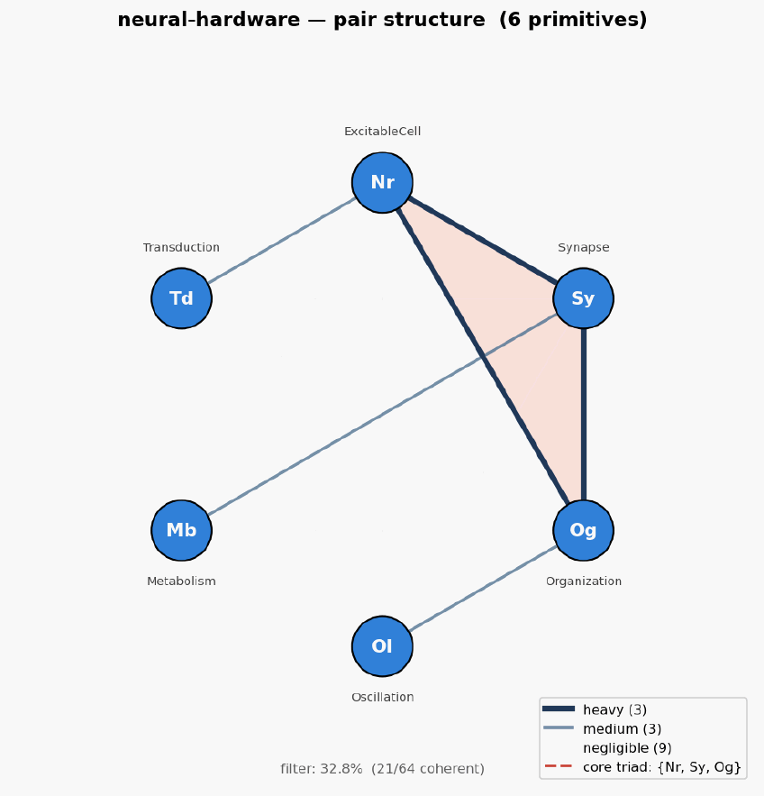 Neural hardware hexagon