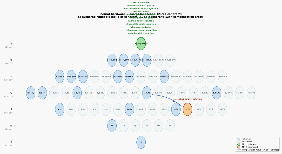 Neural hardware landscape