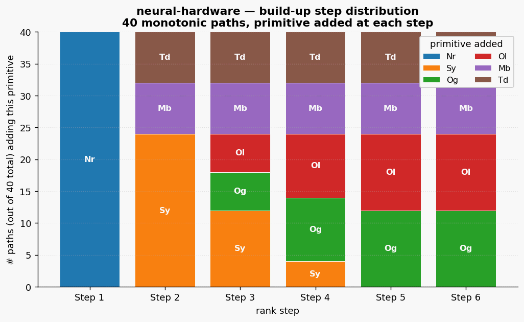 Neural hardware paths