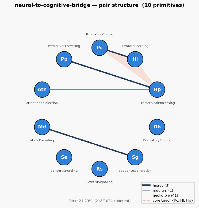 Neural to cognitive bridge hexagon