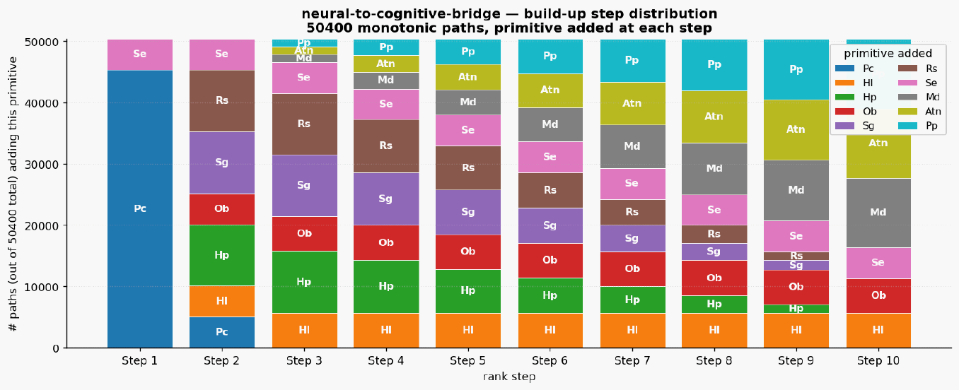 Neural to cognitive bridge paths