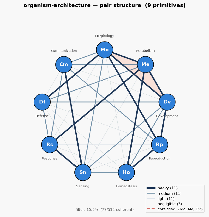 Organism architecture hexagon