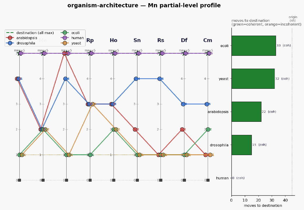 Organism architecture mn profile