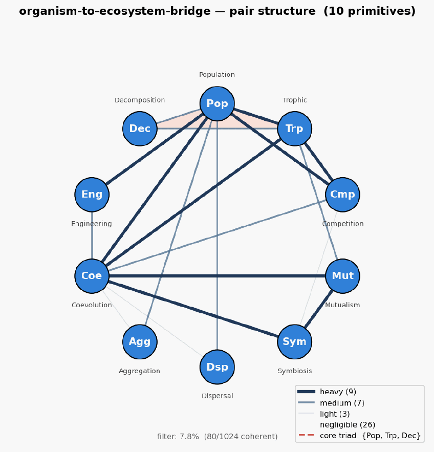 Organism to ecosystem bridge hexagon