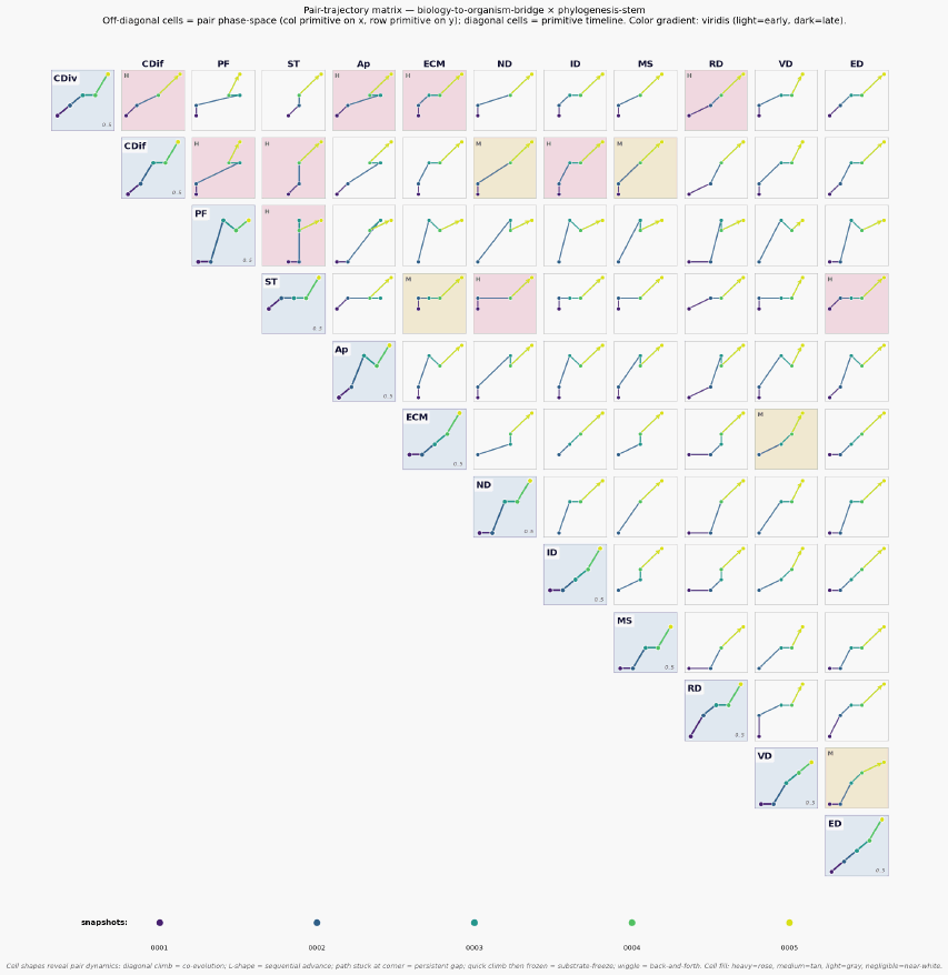 Pair matrix trajectory biology to organism bridge phylogenesis stem