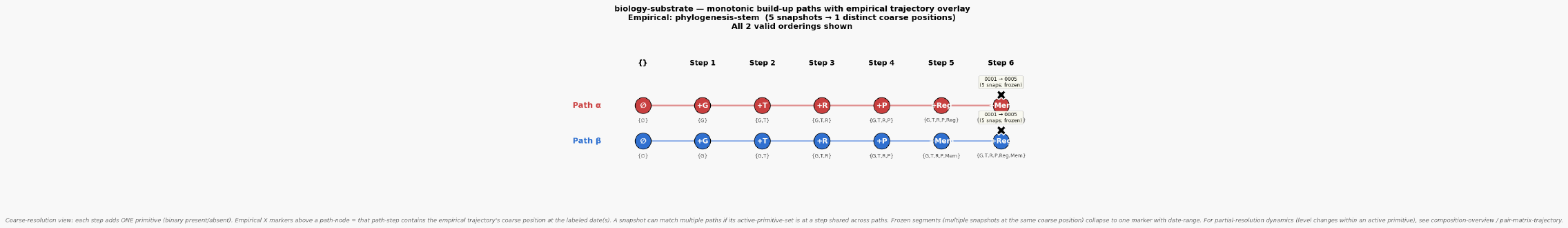 Paths with trajectory biology substrate phylogenesis stem