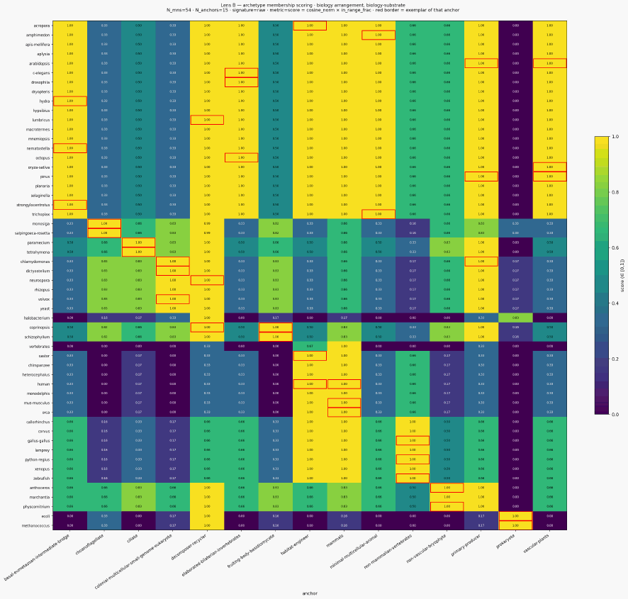 Score archetypes biology biology substrate
