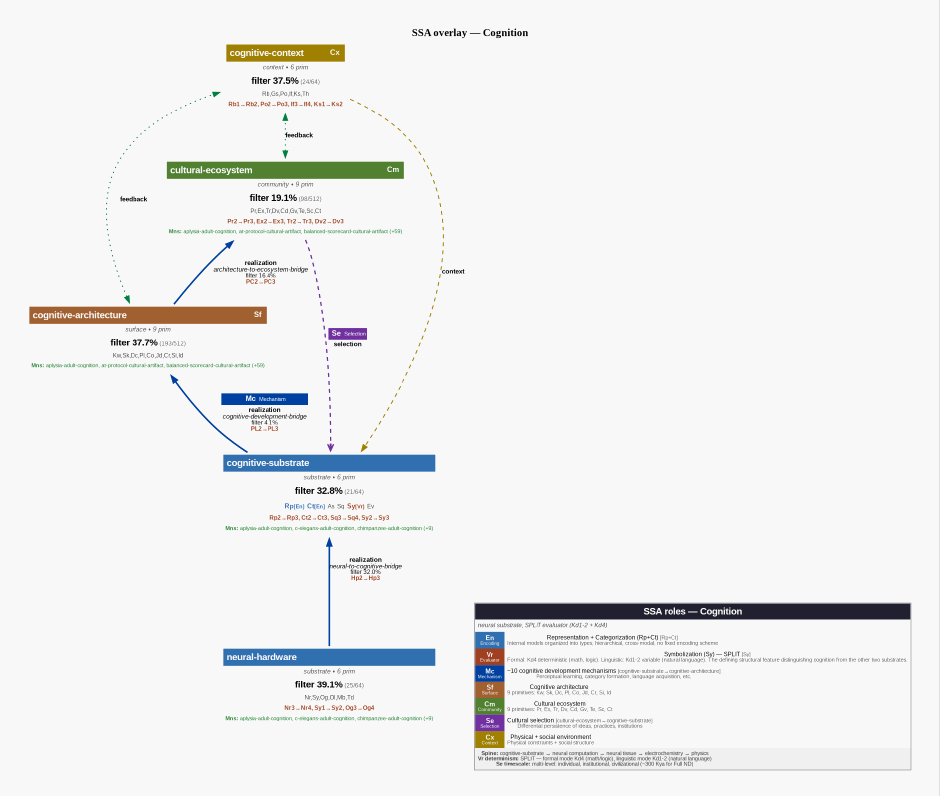 Ssa overlay cognition